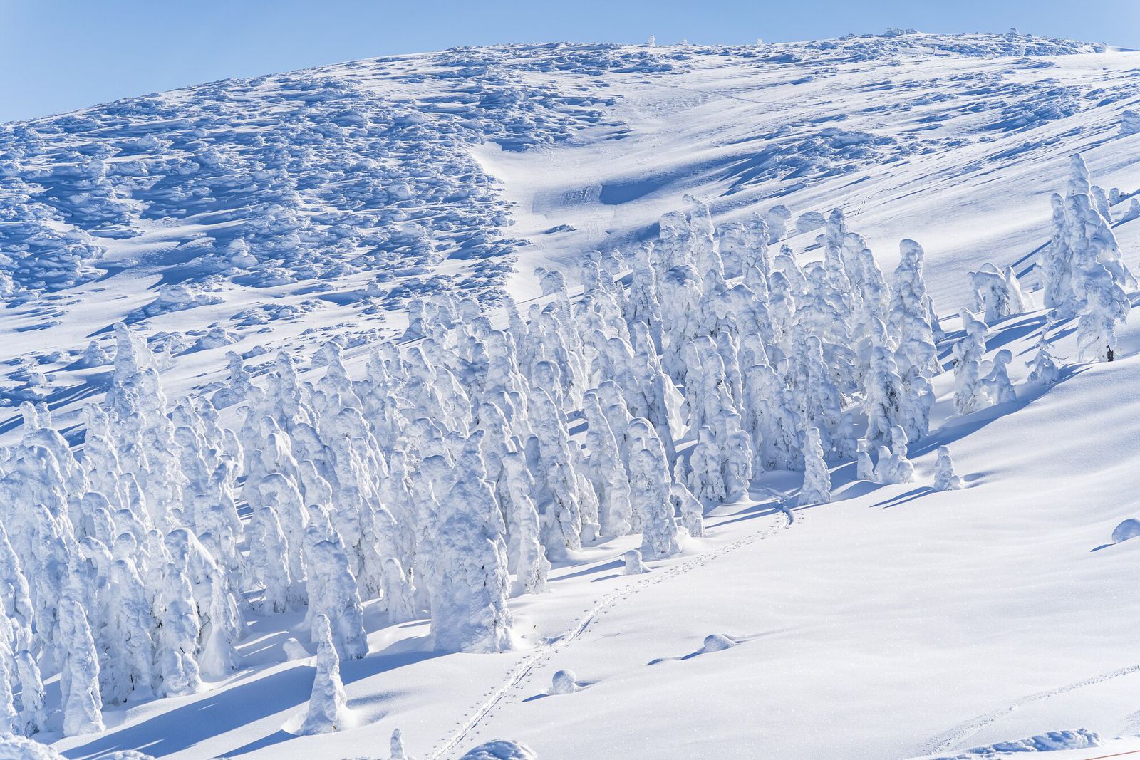 日本一の雪景色がココに ため息が出るほど美しい東北の雪景色10選 Retrip リトリップ