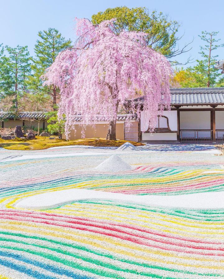 日本の桜は美しい 世界を魅了する桜の絶景ランキングbest10 Retrip リトリップ