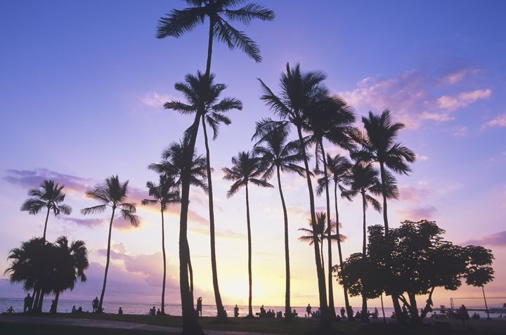 ハワイの定番おすすめ観光スポット31選！リピーターも勧める！