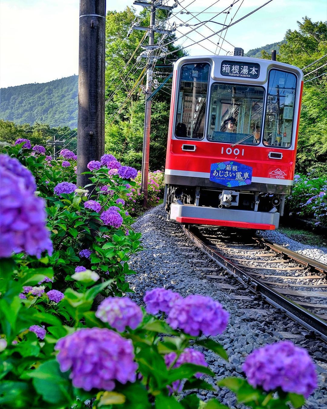 関東周辺四季の花巡り 関東周辺四季の花巡り