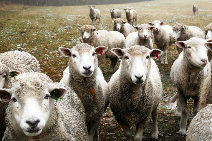 この夏行きたい 長野でリゾート気分が味わえる 野辺山 の観光スポット5選 Retrip リトリップ この夏行きたい 長野でリゾート気分が味わえる 野辺山 の観光スポット5選 Retrip リトリップ