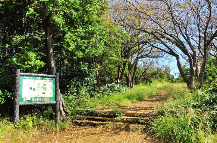 鎌倉の隠れた絶景 北鎌倉の自然を満喫できる 天園ハイキングコース とは Retrip リトリップ