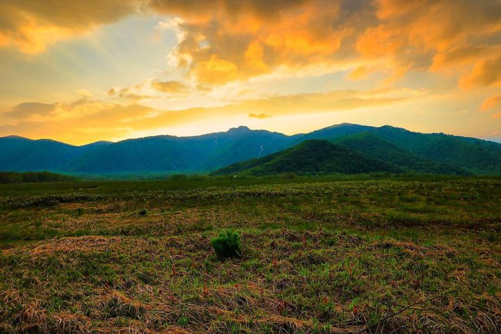 日本の心に残る大自然 夏が来れば思い出す 遥かな尾瀬ヶ原 の魅力とは Retrip リトリップ