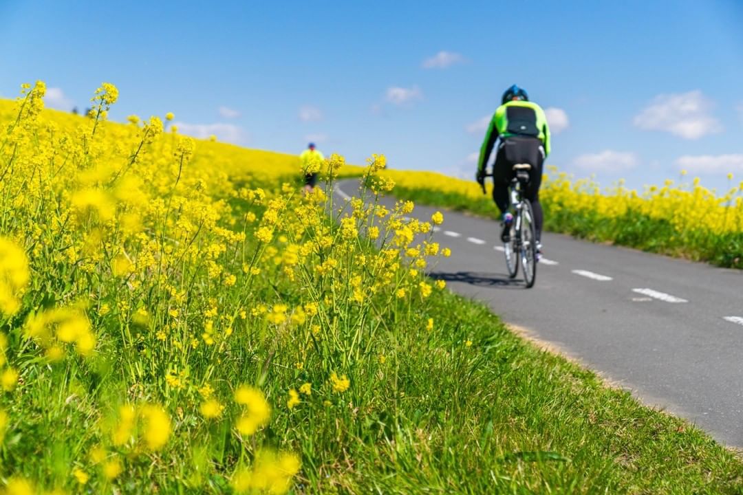 絶景 運動 今すぐ行きたくなる関東地方の サイクリングロード 7選 Retrip リトリップ