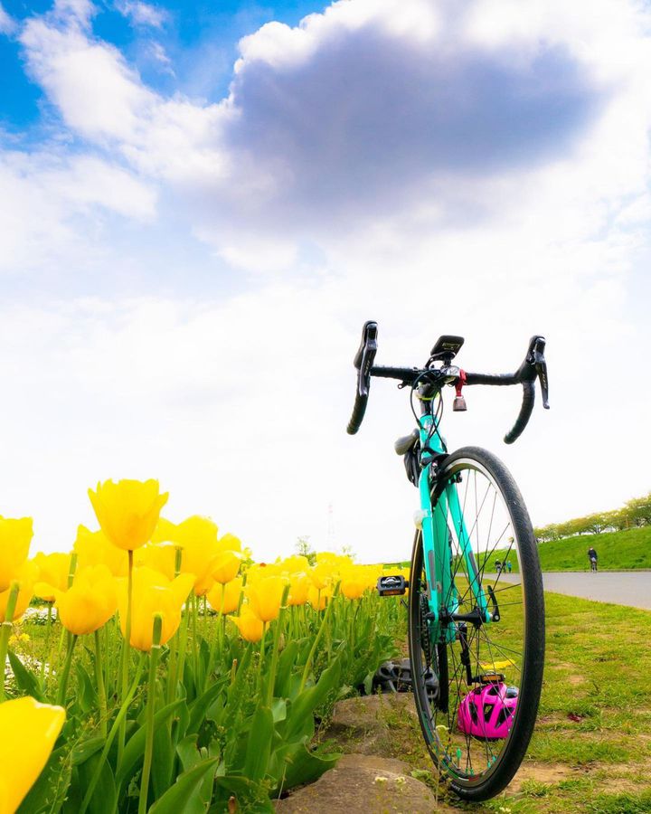 絶景 運動 今すぐ行きたくなる関東地方の サイクリングロード 7選 Retrip リトリップ