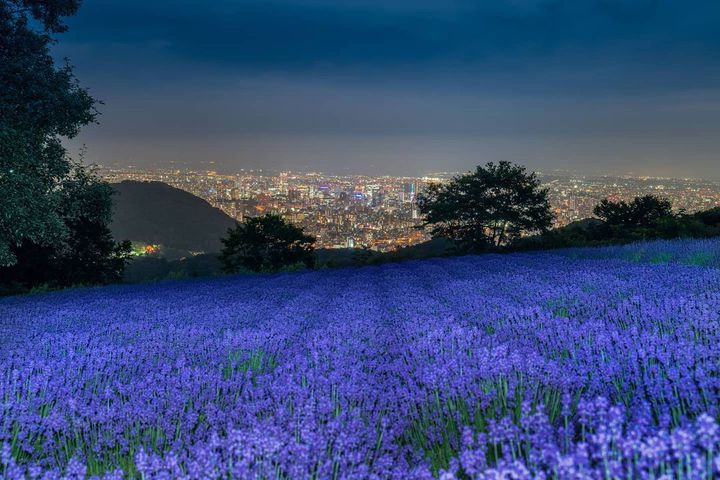 いま おススメするディープな北海道観光 札幌市の穴場な観光スポット19選 Retrip リトリップ