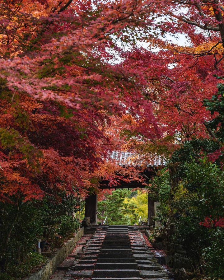 秋旅を満喫しよう 11月1週目に行きたい国内旅行先 おすすめスポットまとめ Retrip リトリップ 秋旅を満喫しよう 11月1週目に行きたい国内旅行先 おすすめスポットまとめ Retrip リトリップ