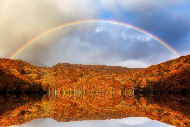 津軽びいどろ十和田湖 水面の紅葉（中） 津軽出羽の紅葉・・十和田湖と奥