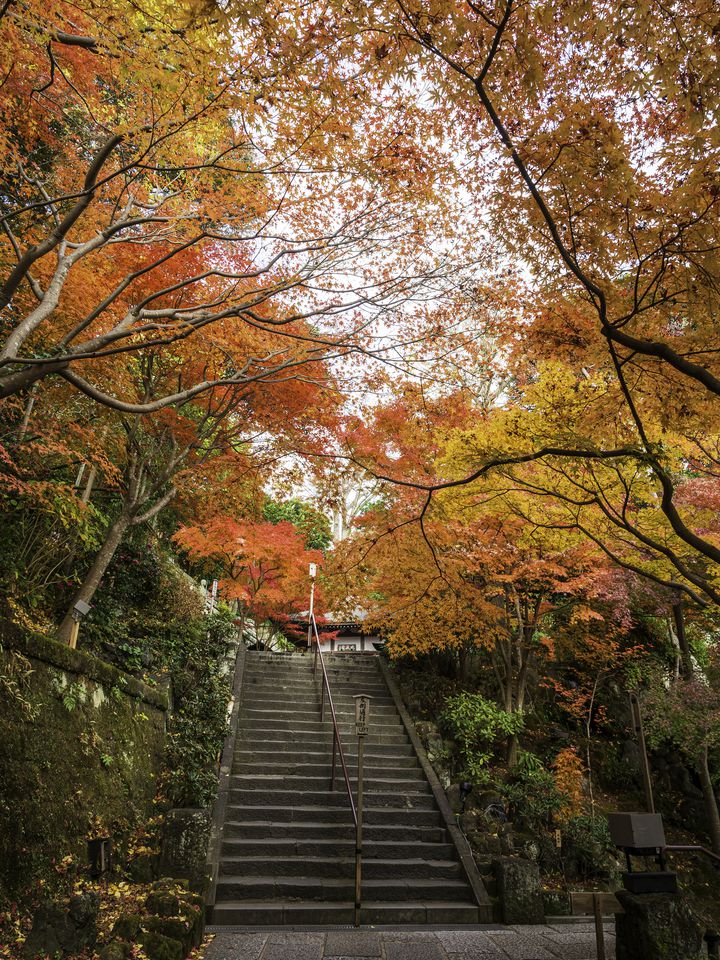 この秋は鎌倉にgo これから見頃を迎える風情ある 紅葉スポット 8選 Retrip リトリップ