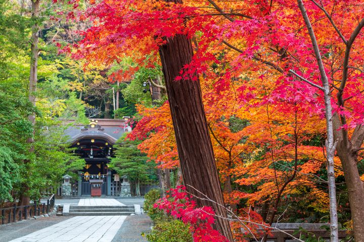 この秋は鎌倉にgo これから見頃を迎える風情ある 紅葉スポット 8選 Retrip リトリップ