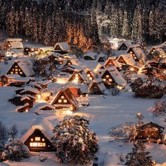 9909472a5586c-87d0-4f7b-95d3-