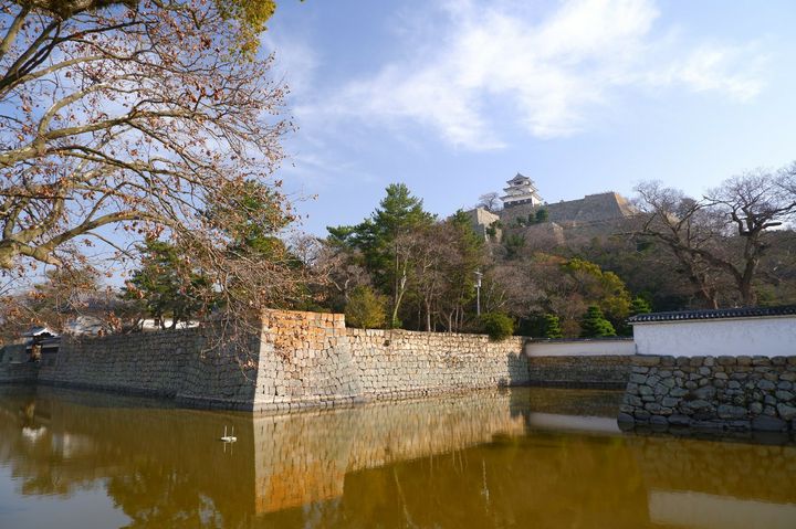 亀山公園