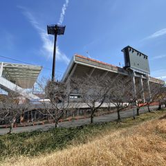 子供も大人も楽しめる 静岡県のおすすめ公園選 Retrip リトリップ