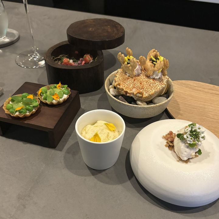 購入 フランス ポールボキューズ シャルドネ(白) 1999年 フランス