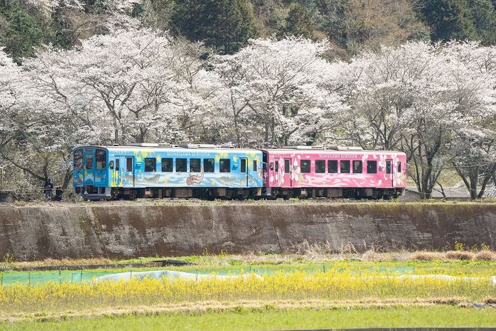 2026最新】【レトロな雰囲気】中国地方の人気鉄道ランキングTOP30 | く