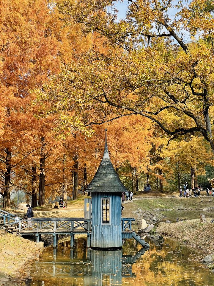 そうだ、絶景にいこう。この秋にオススメな関東近郊の紅葉