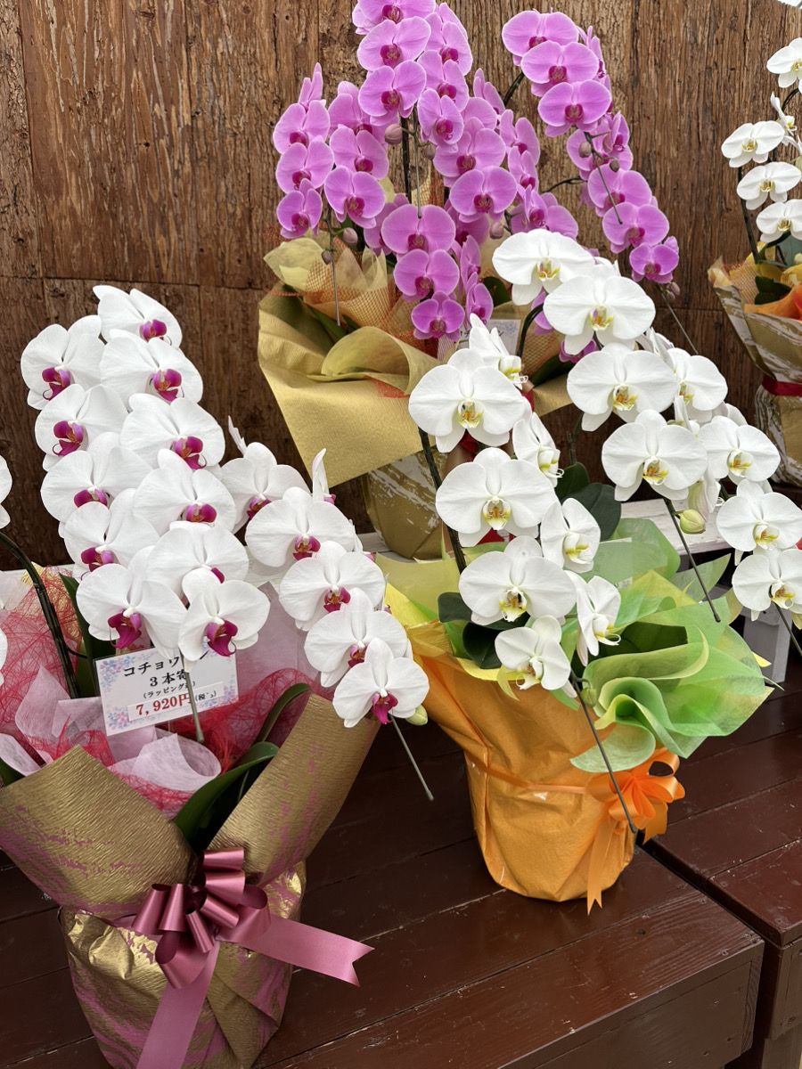 フラワーショップ蘭らん 沖縄熱帯植物管理株式会社