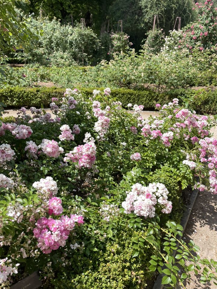 2025最新】ヨーロッパの人気庭園ランキングTOP30 | RETRIP