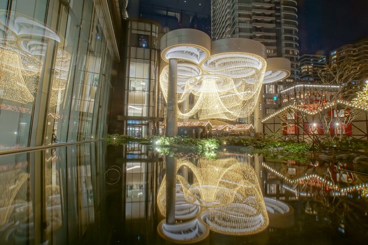 専用　ポット発送　1025 【❤️極上❤️チビチビ❤️蜃気楼】クリスマスローズ 2025最新】クリスマスにおすすめ！麻布十番の人気スポットランキング