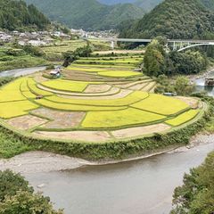 No.3【紀美野の水田里風景】