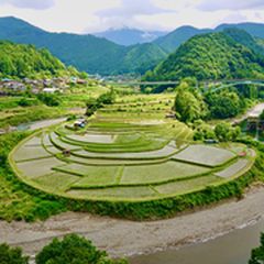日本の幻想的“原風景”へ。和歌山「あらぎ島」の棚田を見に行き