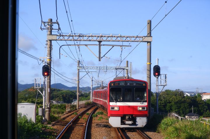 2023最新】超お得な「みさきまぐろきっぷ」で巡る