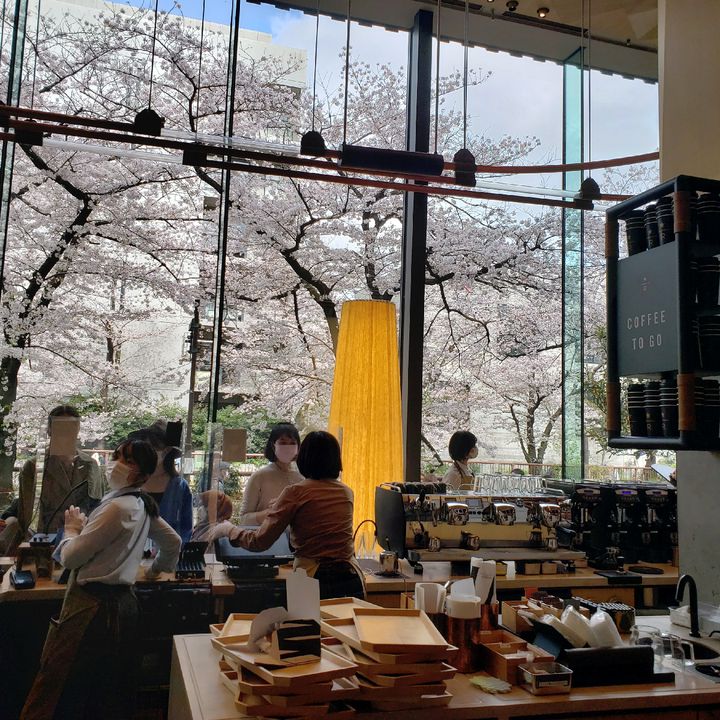 目黒川のほとりで桜を味わう。スタバ リザーブ® ロースタリーにて桜ビバレッジ&フード登場