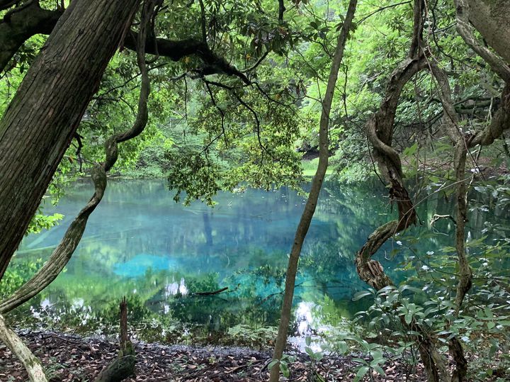 実は神秘的な絶景の宝庫！山形県民が教える“山形の夏の絶景”11選