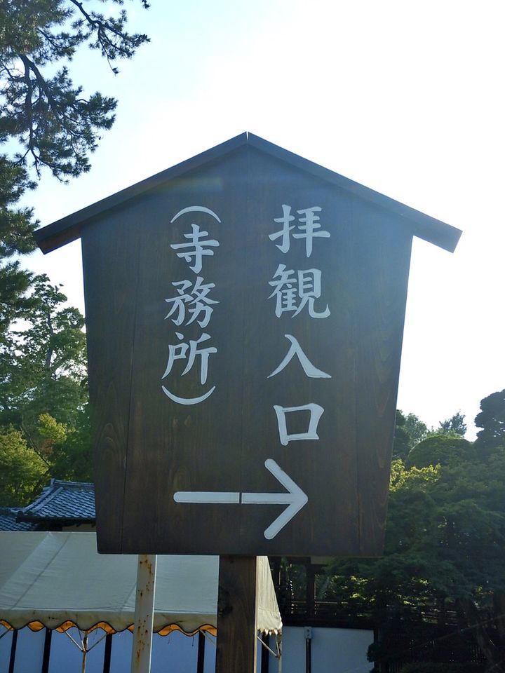 絡みあったかずらの木