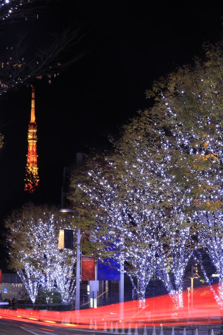クリスマスデートにも 東京都内の 冬に行きたいキラキラデートスポット 14選 Retrip リトリップ