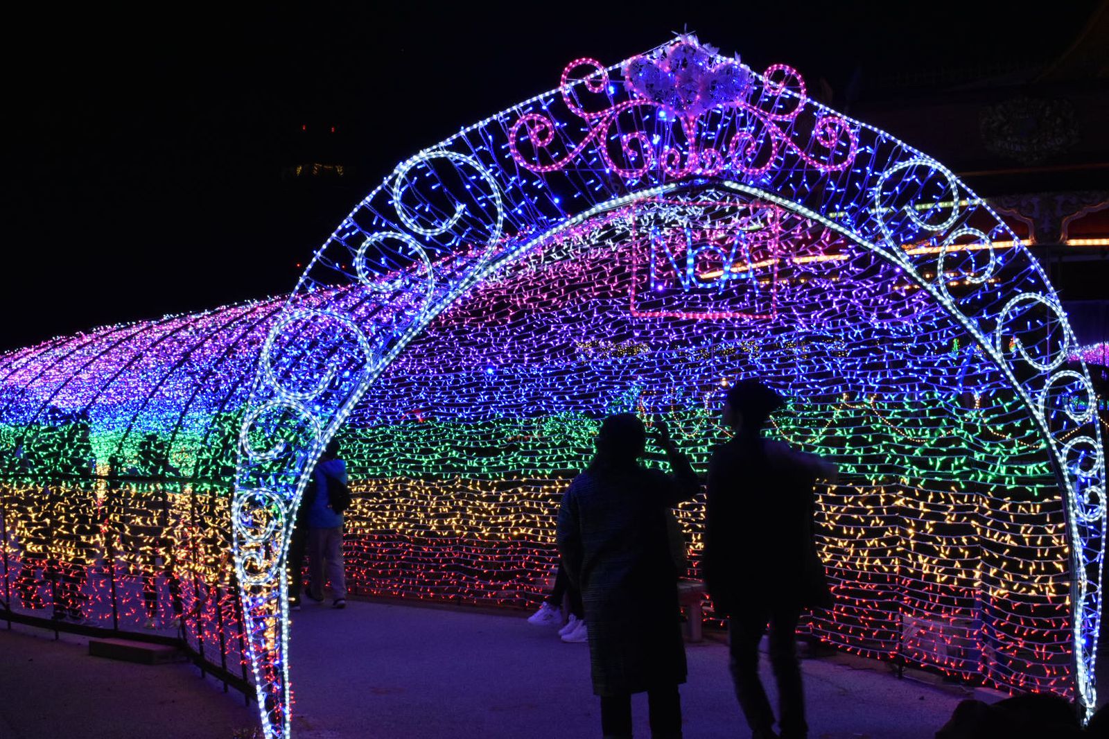 終了 光と自然の幻想的なコラボ Tokiwa ファンタジア22 開催 Retrip リトリップ