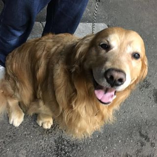 21最新 川越 ふじみ野 東松山の人気かき氷ランキングtop19 Retrip リトリップ