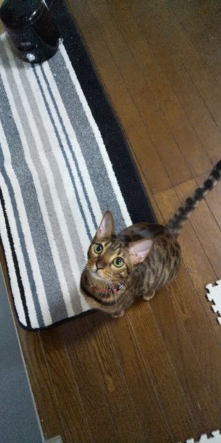 21最新 水道橋の人気パンランキングtop6 Retrip リトリップ