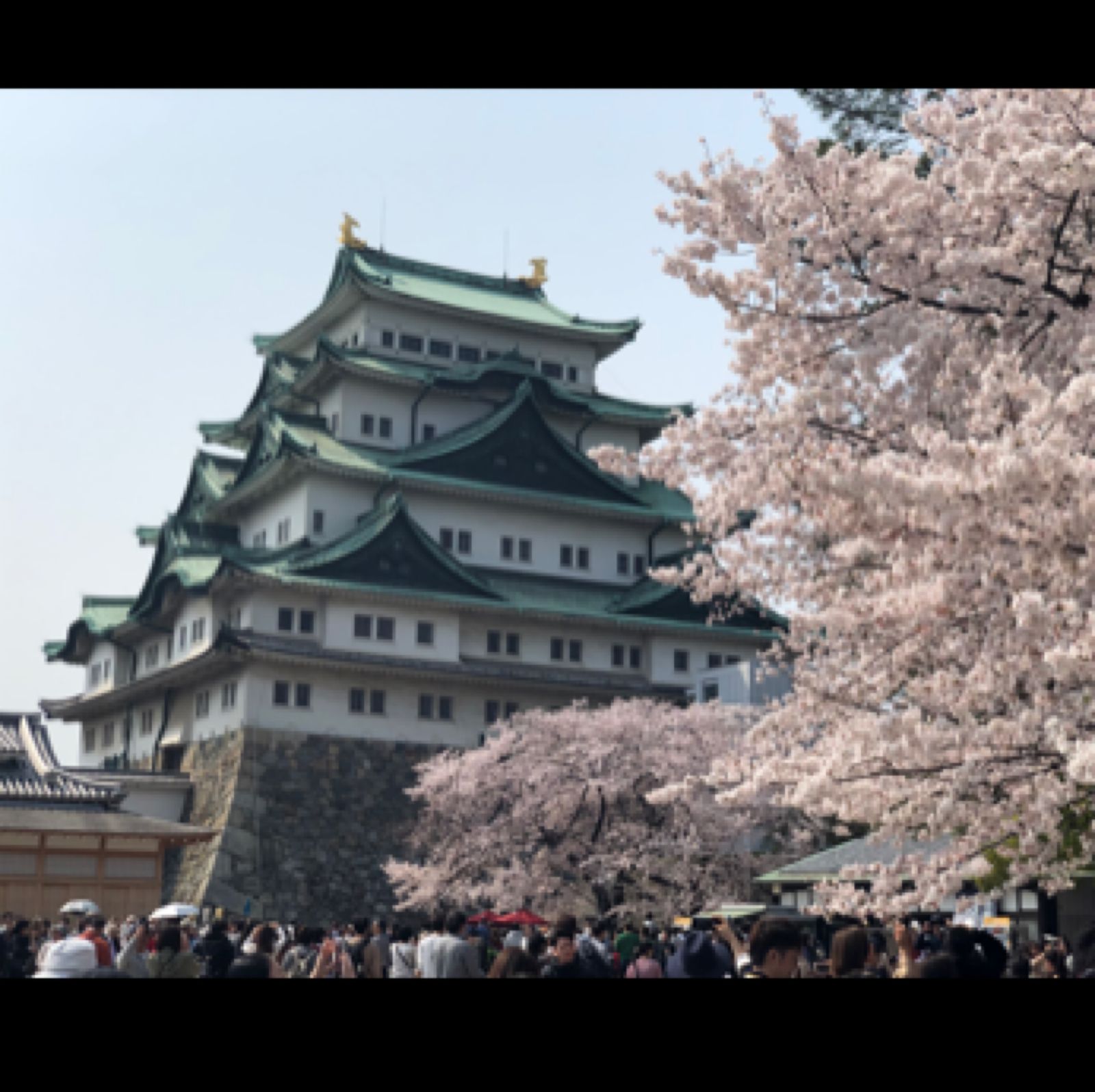 死ぬまでに一度は見たい 思わず感動する日本国内の 神秘的な池 5選 Retrip リトリップ