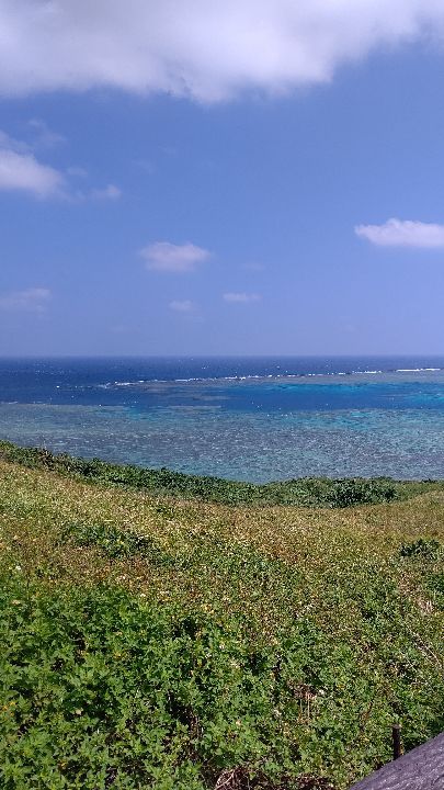 絶対にハズレなし 橋本のおすすめグルメスポット選 Retrip リトリップ